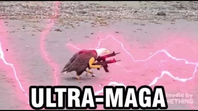 MAGA vs. ULTRA-MAGA A indepth look at The Power of a Meme Ls inability to meme responsibly