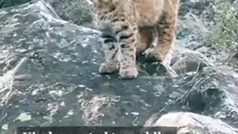 I Don’t Know What The Hell That Is?