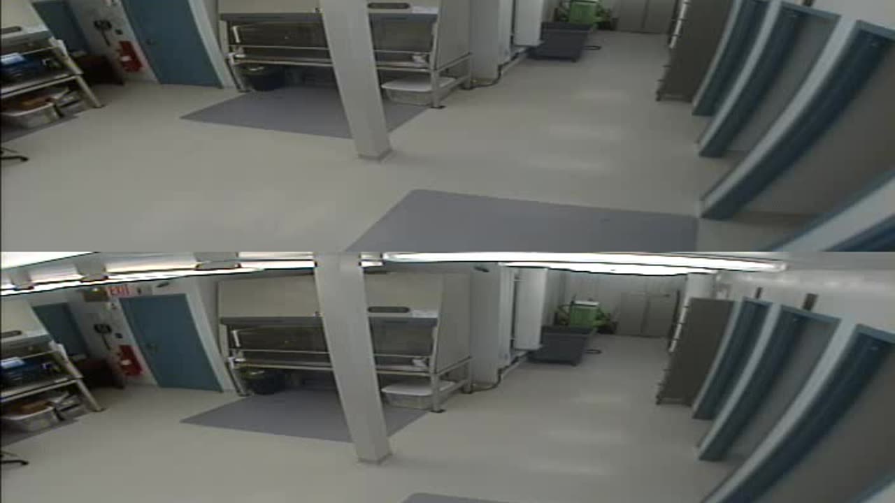 1702CRIB01CribAnalysisArea_2021-01-06_23h40min03s593ms.mp4