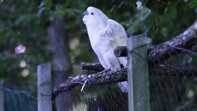 don't stop me from taking off