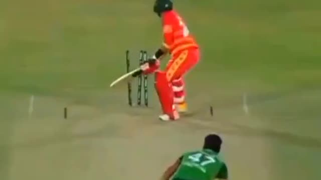 cricket fans-video cricket lovers-video #cricket #cricketlover