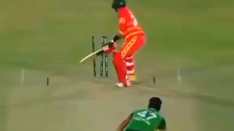 cricket fans-video cricket lovers-video #cricket #cricketlover