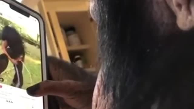 A smartphone using ape