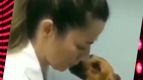 Doggie's Love at First Sight 💘