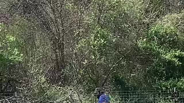 Cutting the wood