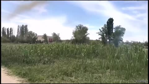 Swarms of mosquitoes Transform i to a mosquito tornado in russia