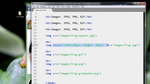 HTML5_PRO_ch5-l7-images-part-5-720 (720p)