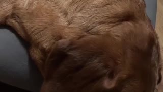 Cute vid