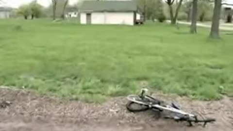 The Disappearing Male (2008)