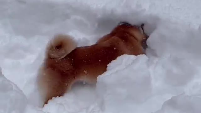 Snowing