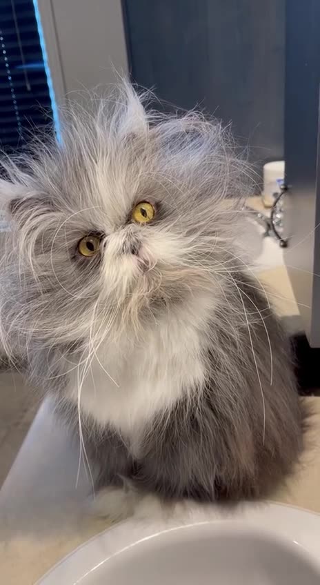 Grinchy Face even Harlisa2000 surely couldn’t possibly love 🤣