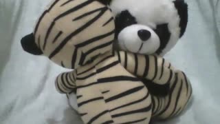 Tudo o que você precisa é de um abraço, panda de pelúcia abraça o tigre com amor [Nature & Animals]