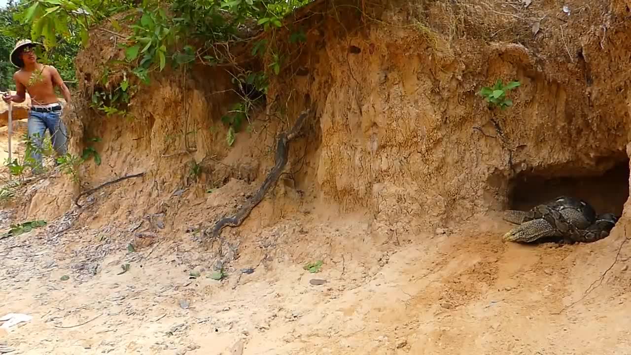 Animals fight and a primitive boy