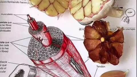 Old Method of Medicine