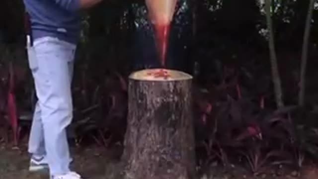 Art drawing skill that can deceive your eyes