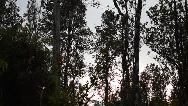 Measuring the distance from London to Jerusalem - David Flynn