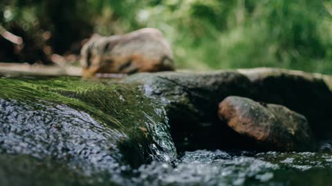 Gentle stream sounds for 3 hrs, for deep sleep, meditation and studying