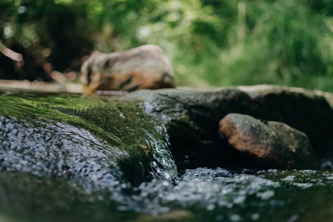 Gentle stream sounds for 3 hrs, for deep sleep, meditation and studying