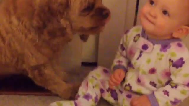 Collab copyright protection - baby in pjs kisses scruffy brown dog