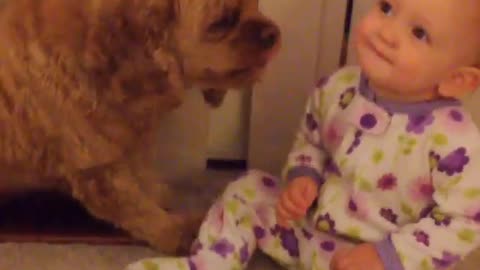 Collab copyright protection - baby in pjs kisses scruffy brown dog