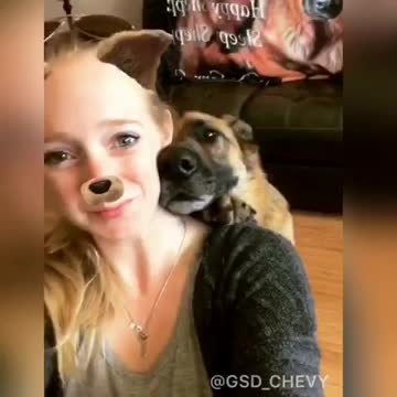 German Shepherd Takes A Selfie With Owner On Her Command