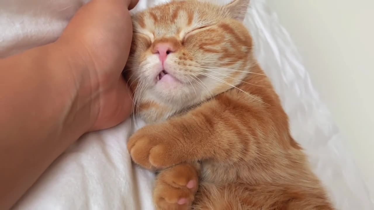 He has to sleep on his hands