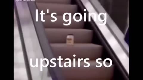 MAYONNAISE ON AN ESCALATOR