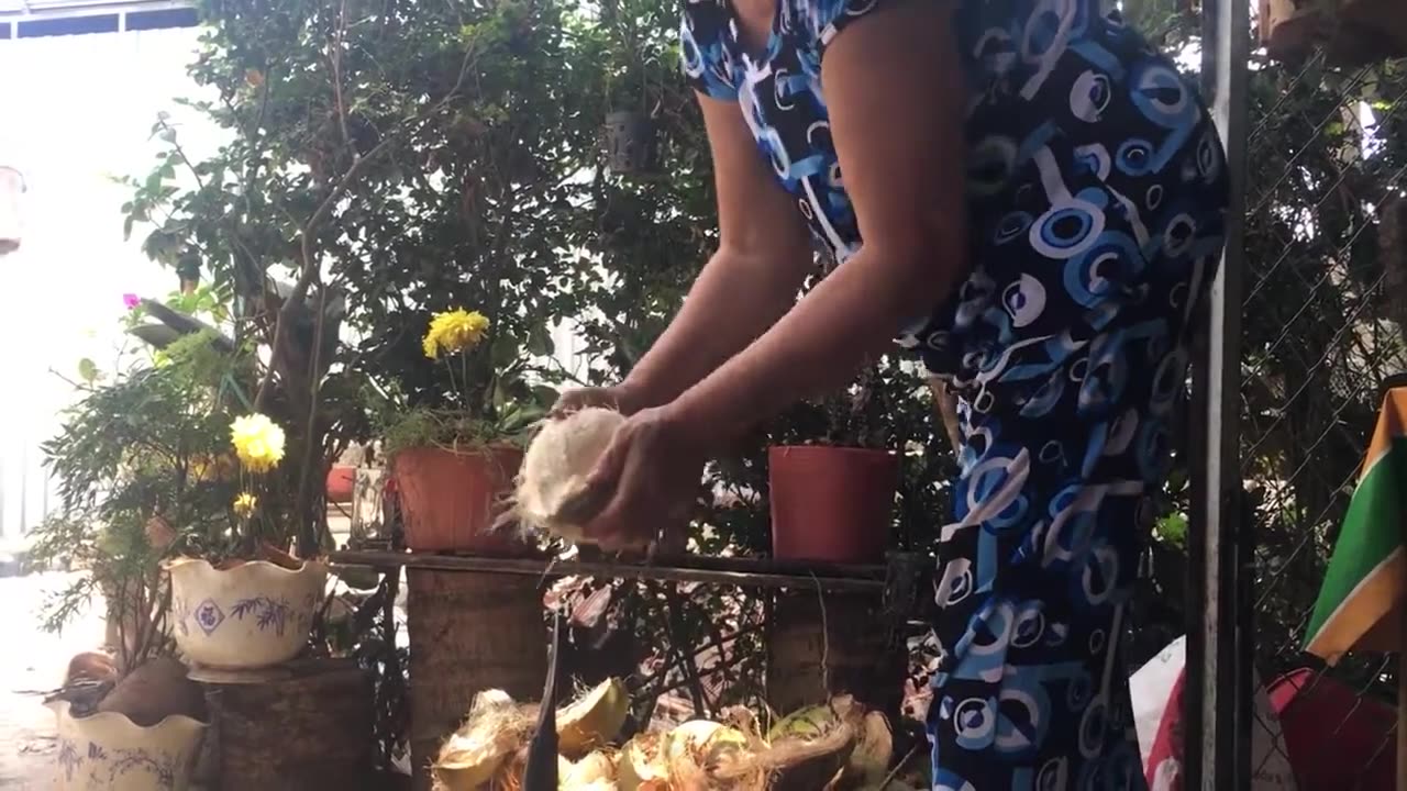 Coconut Farm Tour Mekong Delta, Vietnam March 2020