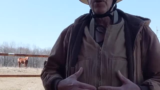 Warm Bit - Horsemanship Tip