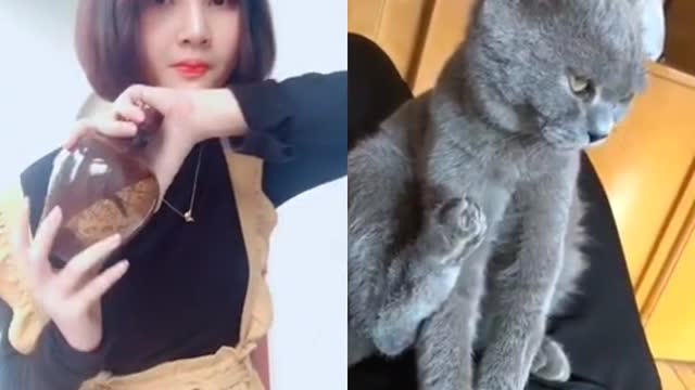 Pretty girl vs kitten