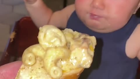 Lo hago creer que son macarrones con pollo 🤪🤣🤪😊