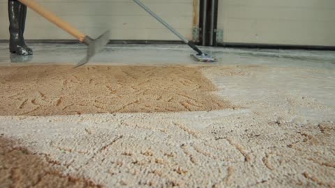 Carpet Masters | Carpet Cleaning | Fort Wayne, IN