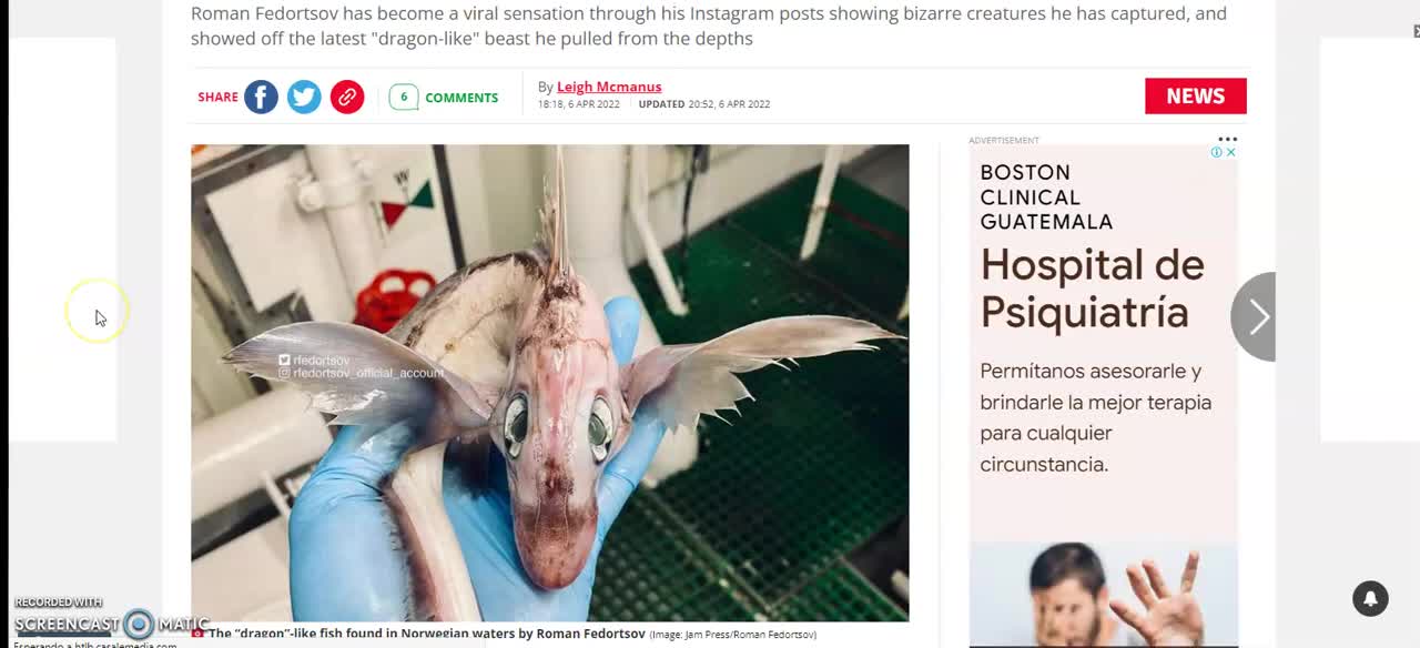 Stunned fisherman pulls mysterious 'baby dragon' sea