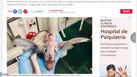 Stunned fisherman pulls mysterious 'baby dragon' sea