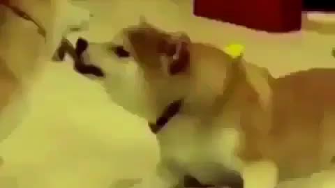 my ramu video