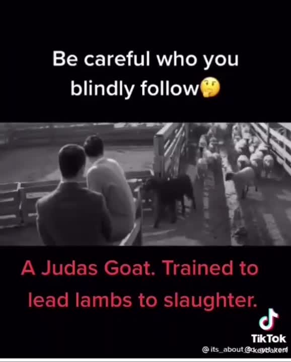 Be careful who you follow blindly-