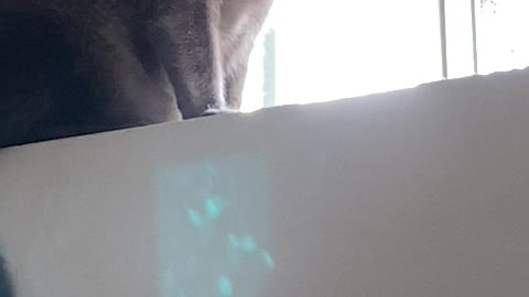 Freedom is your to take