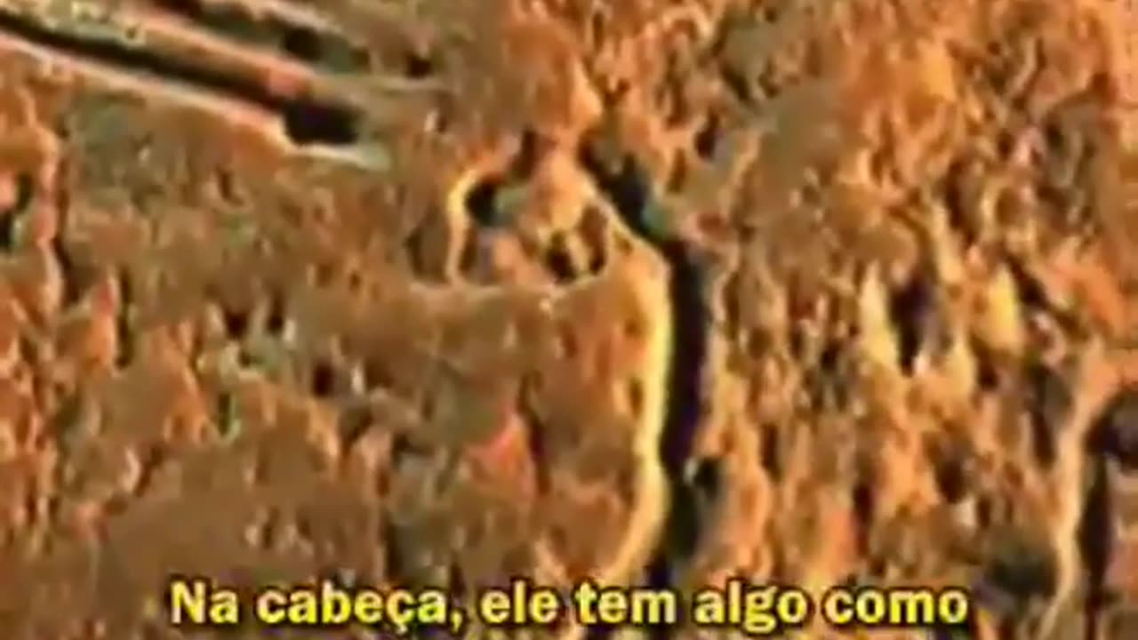 Documentário Klaus Dona A História Secreta da Raça humana.