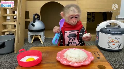 Monkey cooking a rice