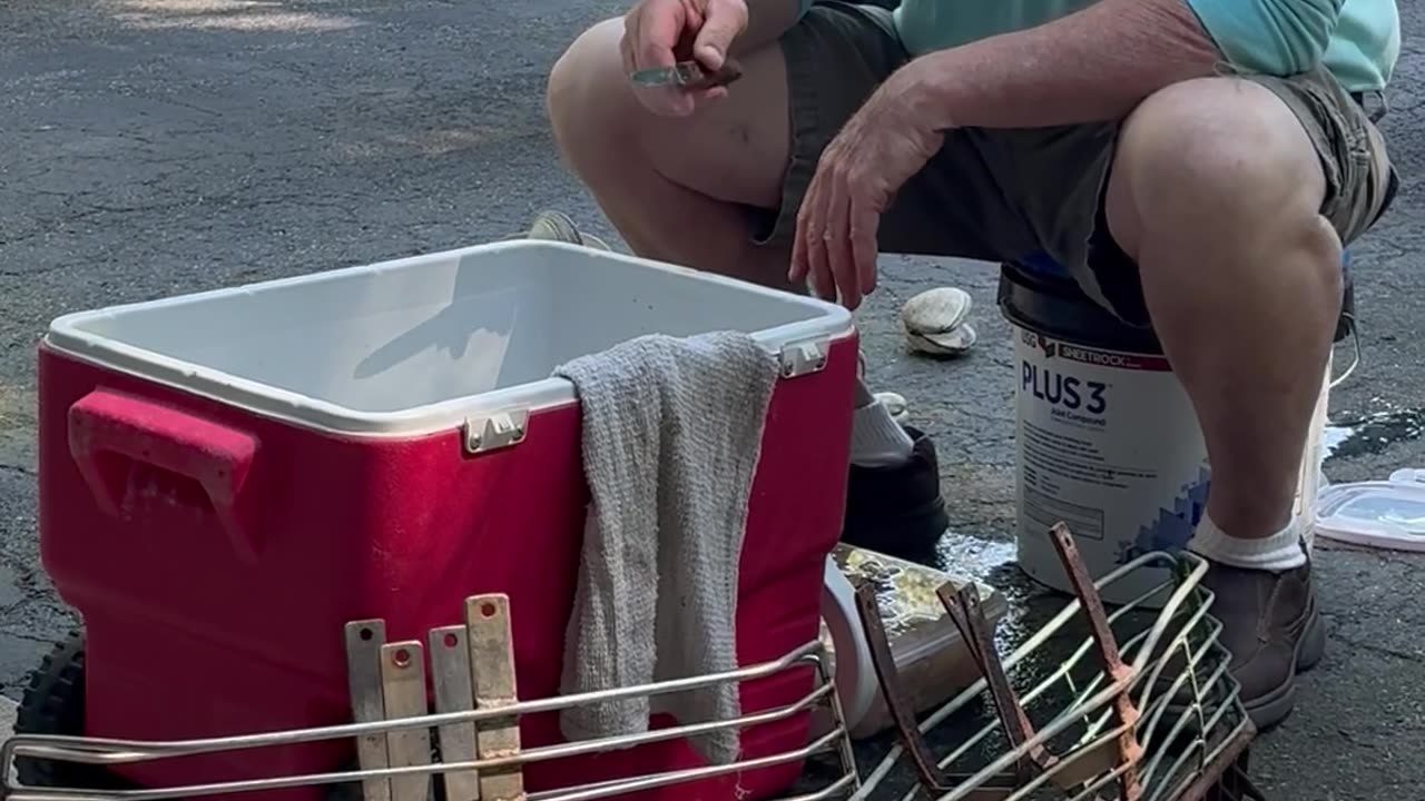 Shucking Chowder & Cherrystone Clams