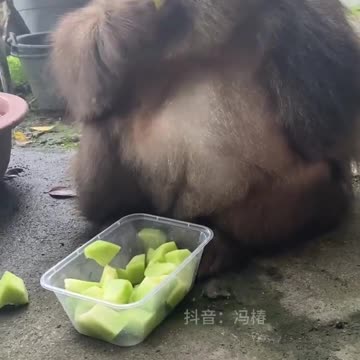 that sacred moment ''the snack'' 🤩😍🤤😋