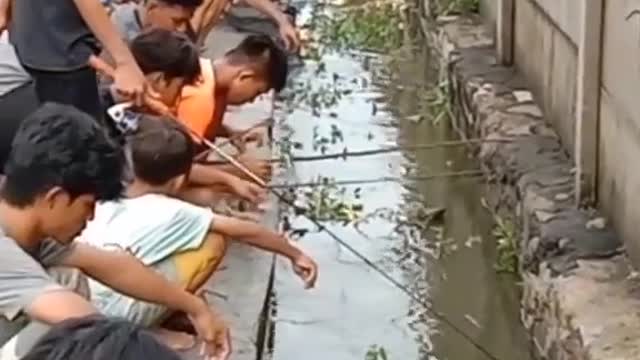 This is a beautiful and charming water-dwelling species