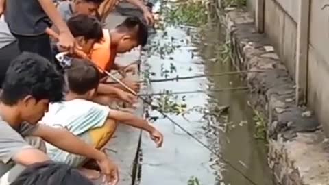 This is a beautiful and charming water-dwelling species