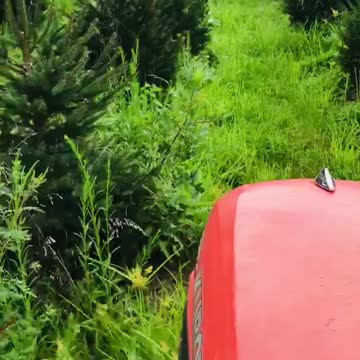 We mow 80 acres a week with our kubota tractors