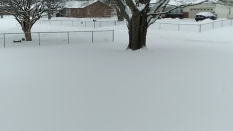 8"snowstorm 3"more expected