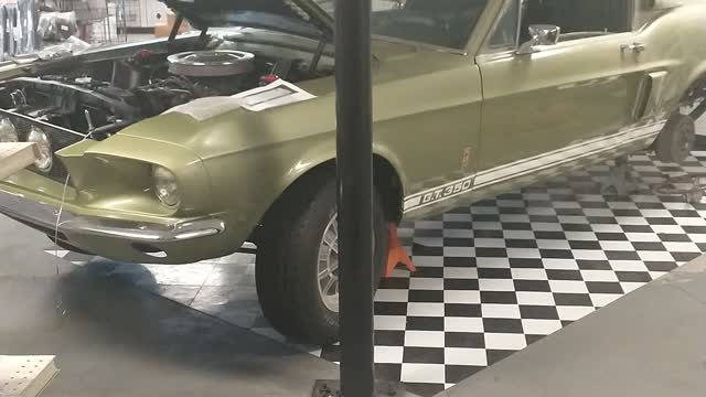 Shelby GT 350 Mustang