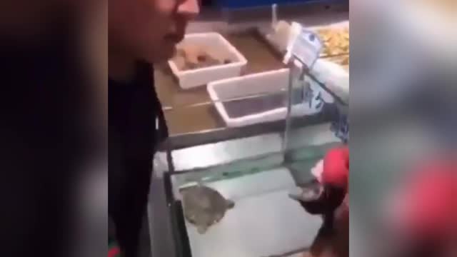 EATING THE FROG
