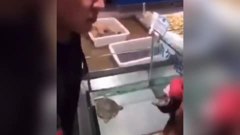 EATING THE FROG