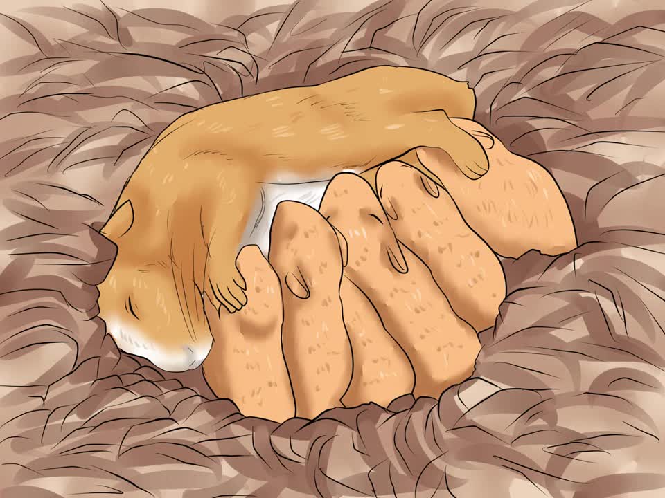when to separate hamster