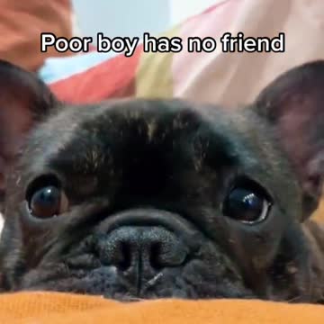 Would u be my friend?